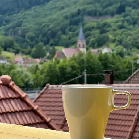 Maison Atypique Alsace - La Nyaraló *