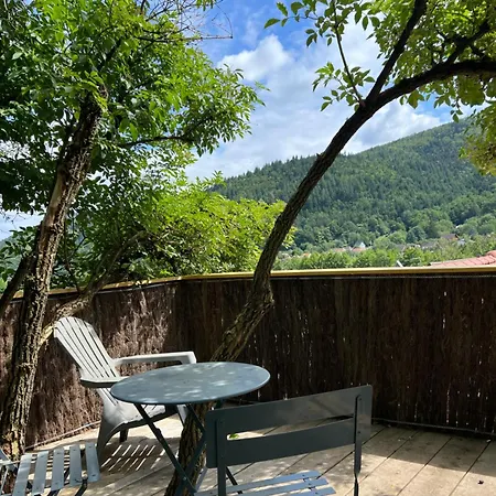 Maison Atypique Alsace - La Lautenbach